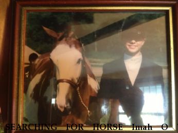 SEARCHING FOR HORSE Imah O T Sensation, Near Wattsburg, PA, PA, 16442